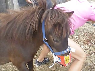 Riding Dads Cock and also his Horse