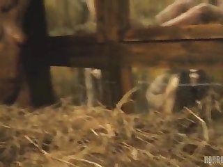 Horrorporn Rabbit Hutch Hd