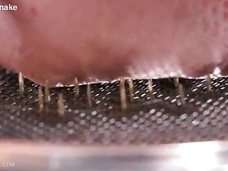 Queensnake.com Tit Tacks 2 Hd