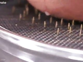 Queensnake.com Tit Tacks 2 Hd