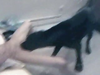 His Balls Pressing Against Her Pussygash From Behind