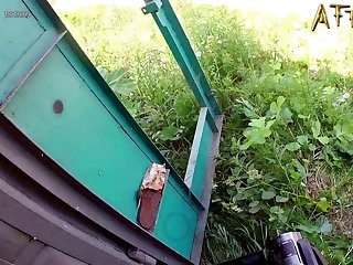 Dog Tube