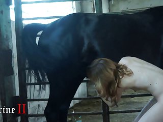 Free P Movie