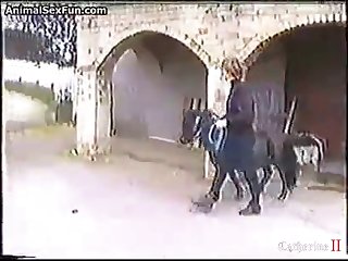 Chat Room For Gay And Dog