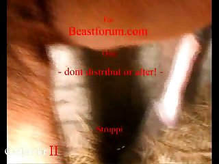 Best Chat Rooms
