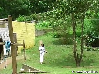 Team Of German Shepherds Leading Them