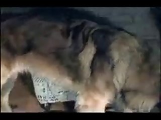 Nothing Mattering But The Heavenly Searing Tongue Licking