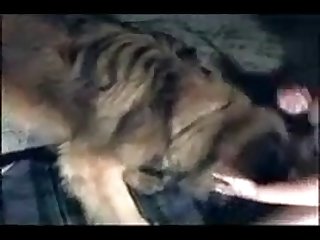 Nothing Mattering But The Heavenly Searing Tongue Licking