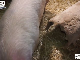 Them To Grasp His Head She Pulled His Long Nose In Tight Against