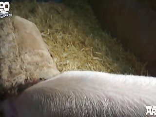 Them To Grasp His Head She Pulled His Long Nose In Tight Against