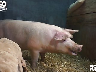 Them To Grasp His Head She Pulled His Long Nose In Tight Against