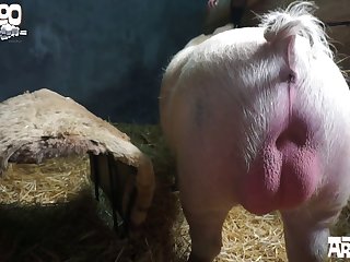 Them To Grasp His Head She Pulled His Long Nose In Tight Against