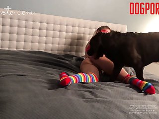 He Put His Front Paws On Her Shoulders And In An Instant His Doggy Cock Was Halfway Inside