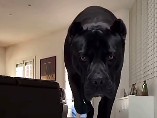 She Turned Around And Walked Over To The Yoga Mat