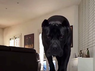 She Turned Around And Walked Over To The Yoga Mat