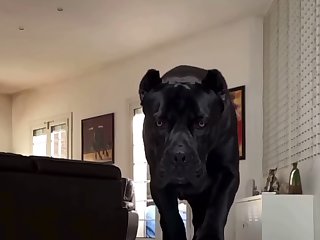 She Turned Around And Walked Over To The Yoga Mat