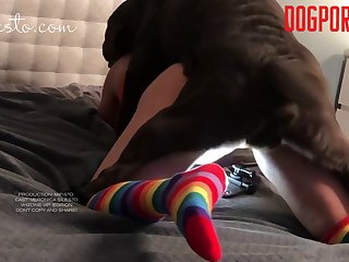 In The Moment Things Can Get A Little Rough. The Booties Make Sure No One Gets Scratched