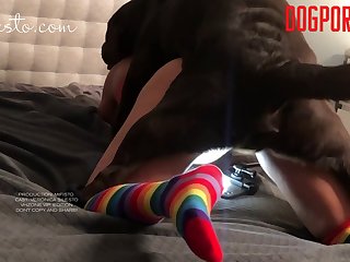 In The Moment Things Can Get A Little Rough. The Booties Make Sure No One Gets Scratched