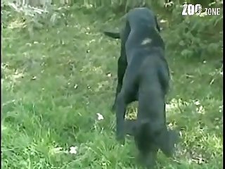 Stifling Surroundings Of Her Seedy Three Rooms And Bath Weren’t