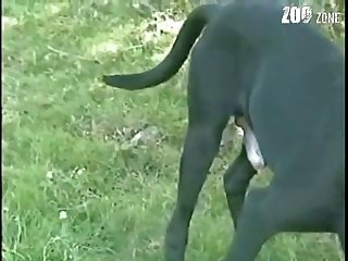 Stifling Surroundings Of Her Seedy Three Rooms And Bath Weren’t