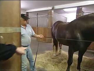Hkm Horse Mating Low