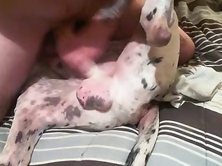 Me Docking Male Great Dane
