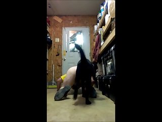 Buster Loves His Bitch