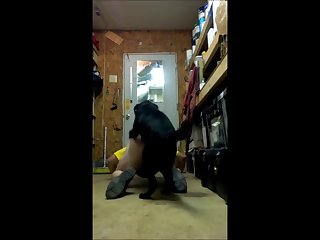 Buster Loves His Bitch