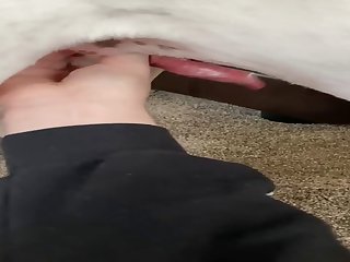 Lickjob And Jerking Vid