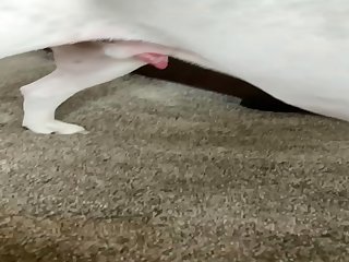 Lickjob And Jerking Vid