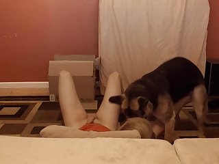 Sensitive Shepherd.mov