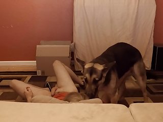 Sensitive Shepherd.mov