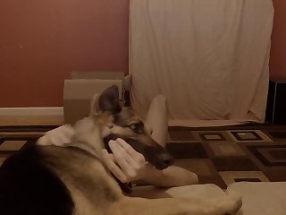 Sensitive Shepherd.mov