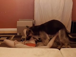 Sensitive Shepherd.mov