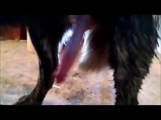 001.wmv