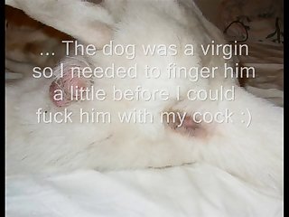 Fun With The White Dog Part 1.wmv
