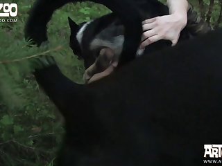 Women Fucking A Dog