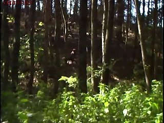 Riding Dog Porn
