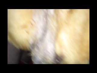 Dog Porn Art