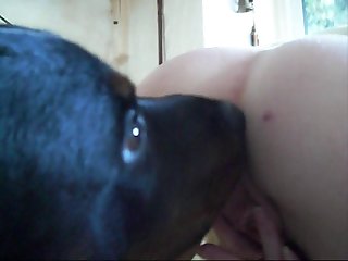 My Dog Licked My Vagina