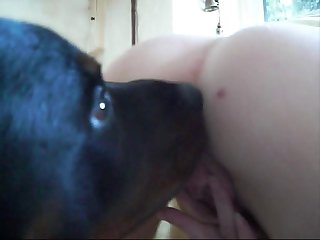 My Dog Licked My Vagina
