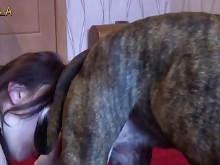 Bestiality Furry Porn