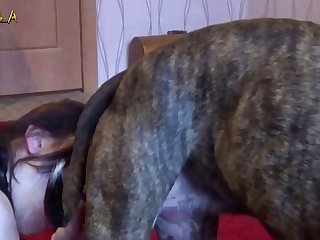 Bestiality Furry Porn