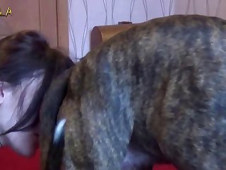 Bestiality Furry Porn