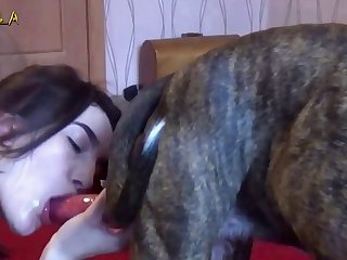 Bestiality Furry Porn
