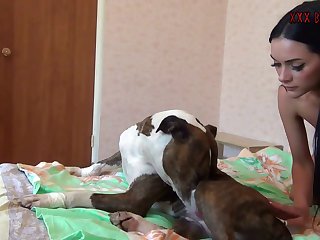 Horse Bestiality Porn Comic