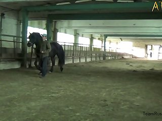 Indian Bestiality Porn