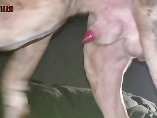 Bestiality Porn Websites