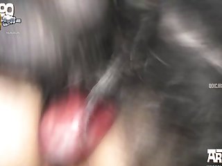 Bestiality Porn Real
