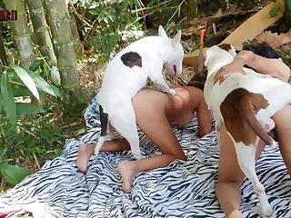 Man Bestiality Porn